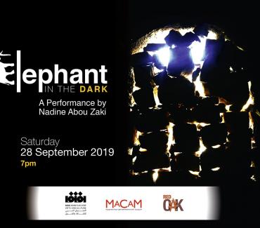 Elephant in the Dark Elephant in the Dark